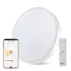 Okos LED mennyezeti lámpatest GoSmart, kör alakú, 45W, CCT, dimmelhető, WiFi, 2700, 220–240V, CRI> 80, IP20, EMOS, ZM5192