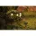 SOLAR LED STRING LIGHT 23439 0.6W 8PCS. 2000K IP71