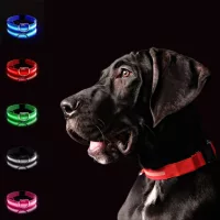 LED kutyanyakörv